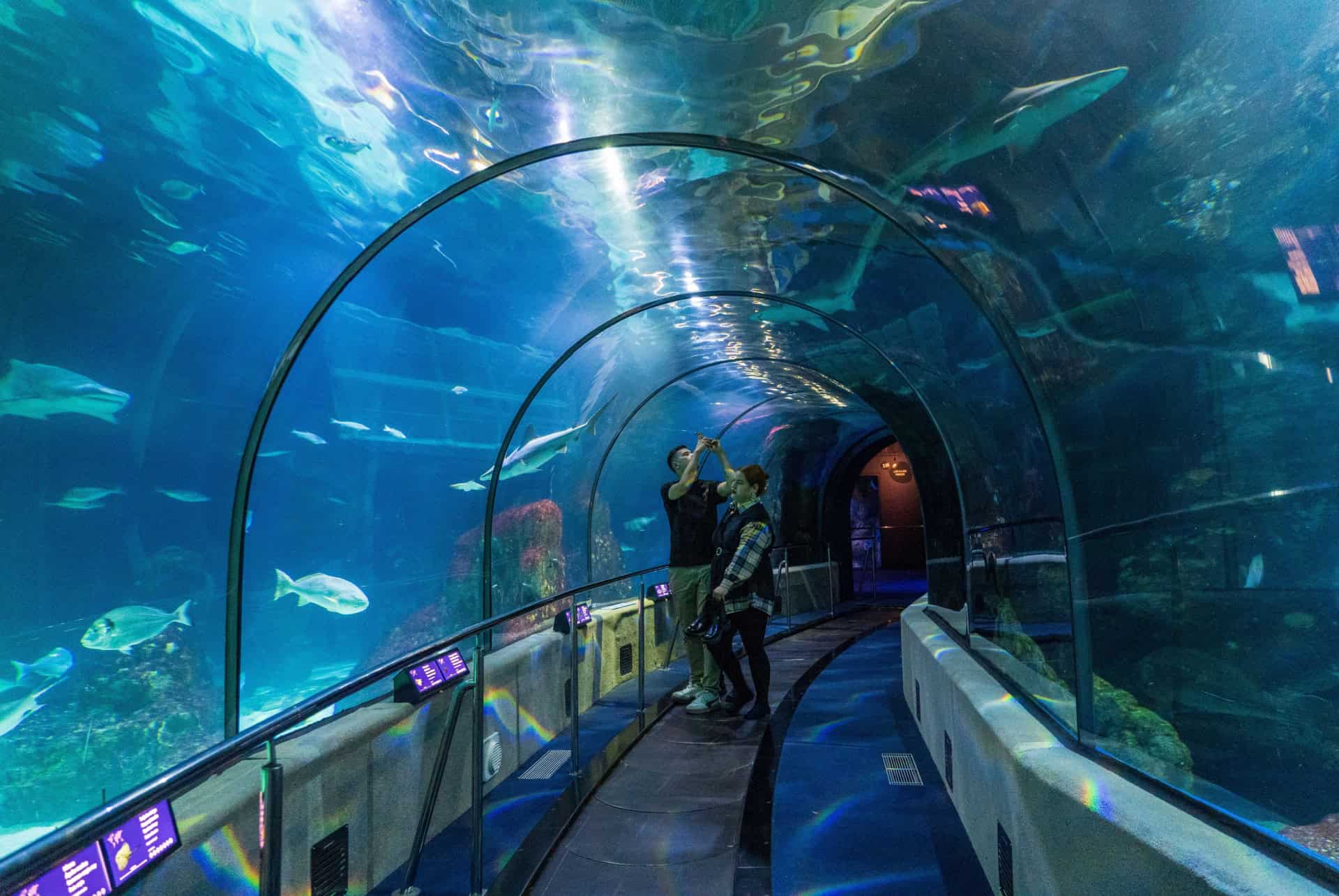aquarium barcelone aquarium barcelone