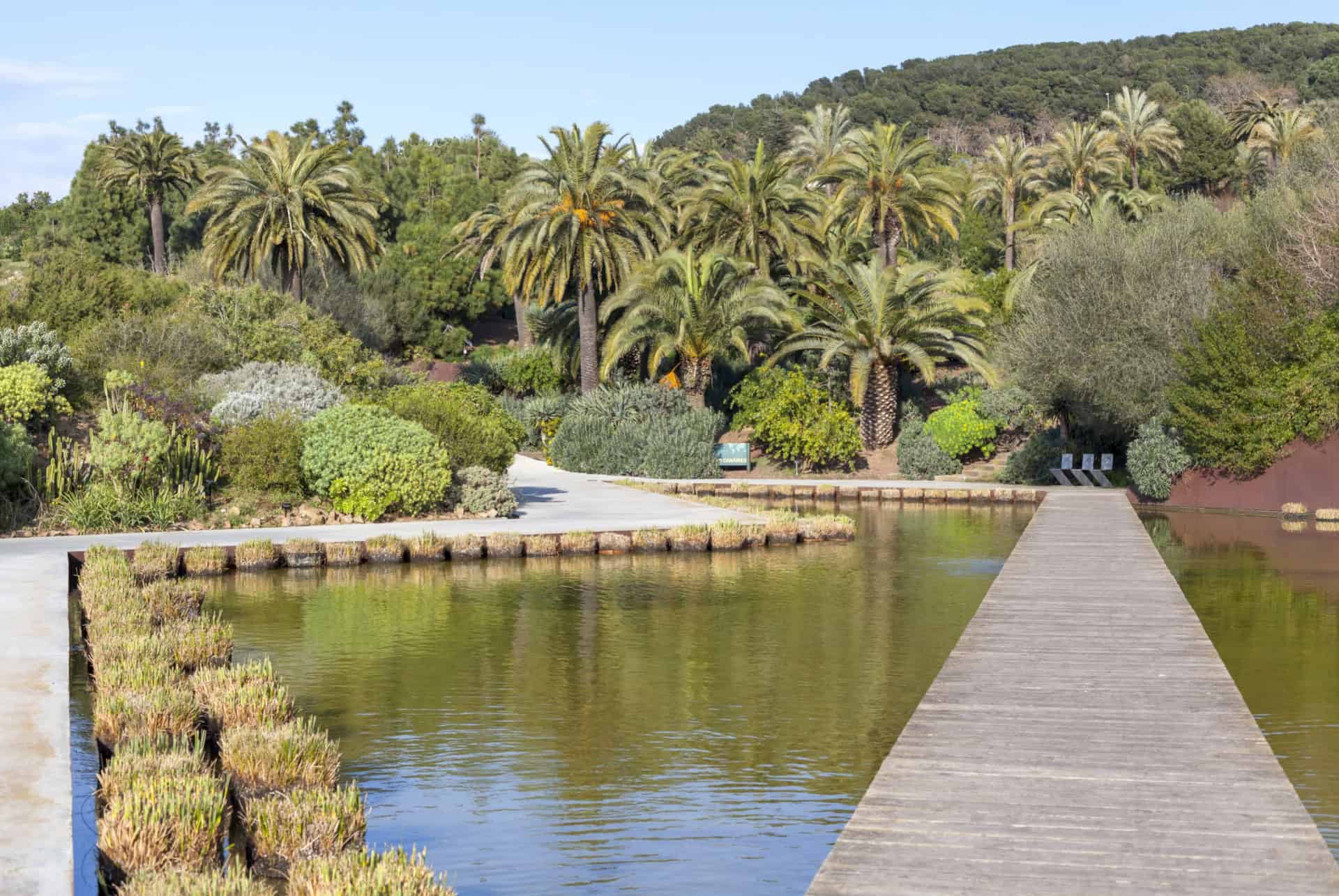 jardin botanique montjuic barcelone en juillet jardin botanique montjuic barcelone en juillet