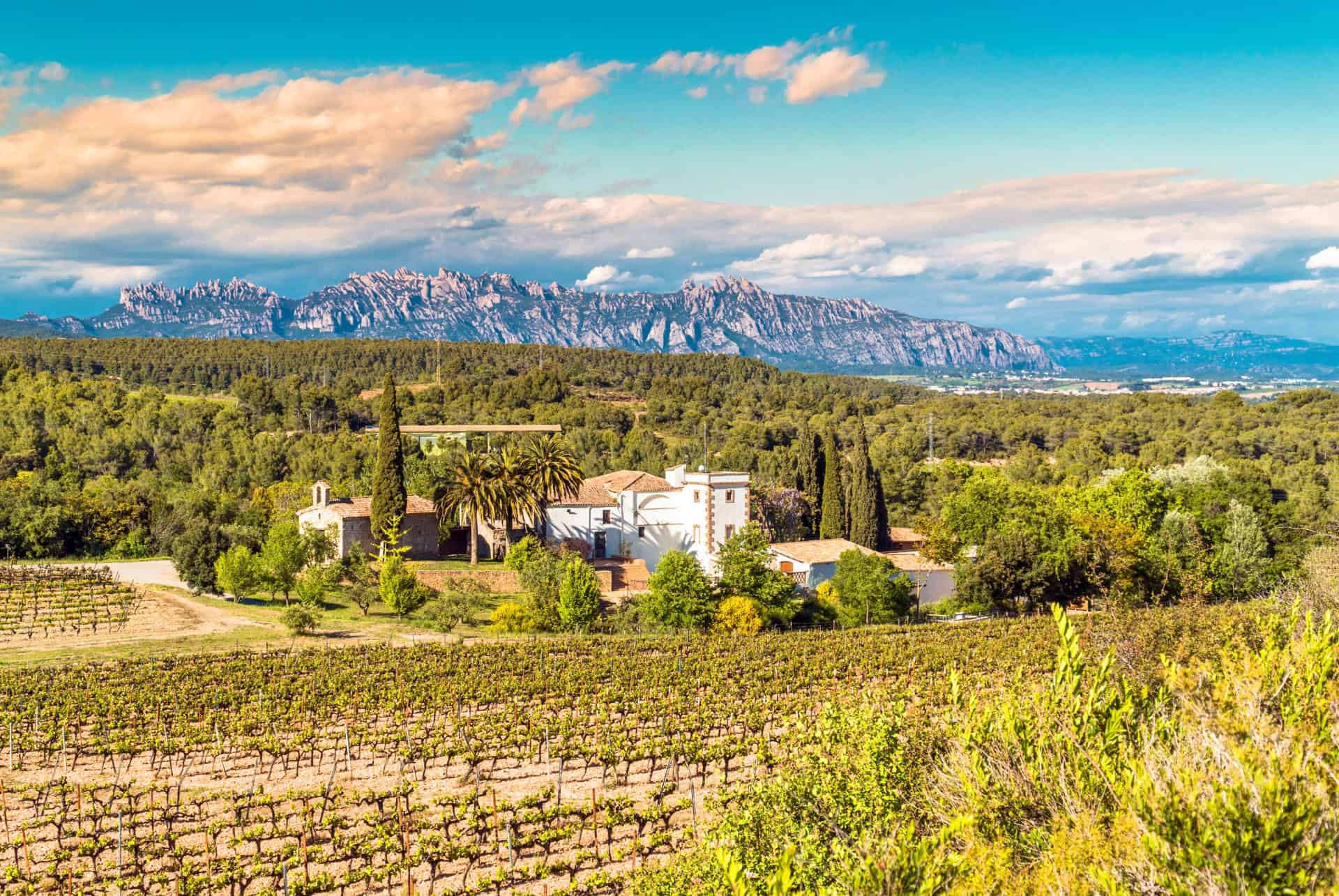 Penedès