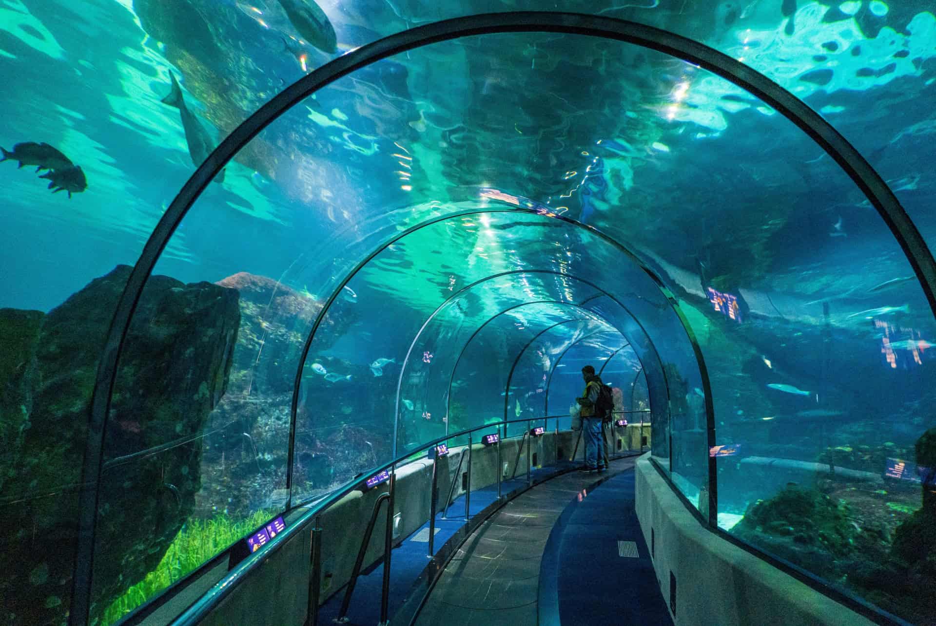 aquarium de barcelone aquarium de barcelone