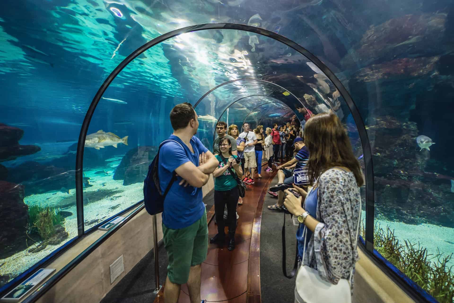 tunnel aquarium de barcelone