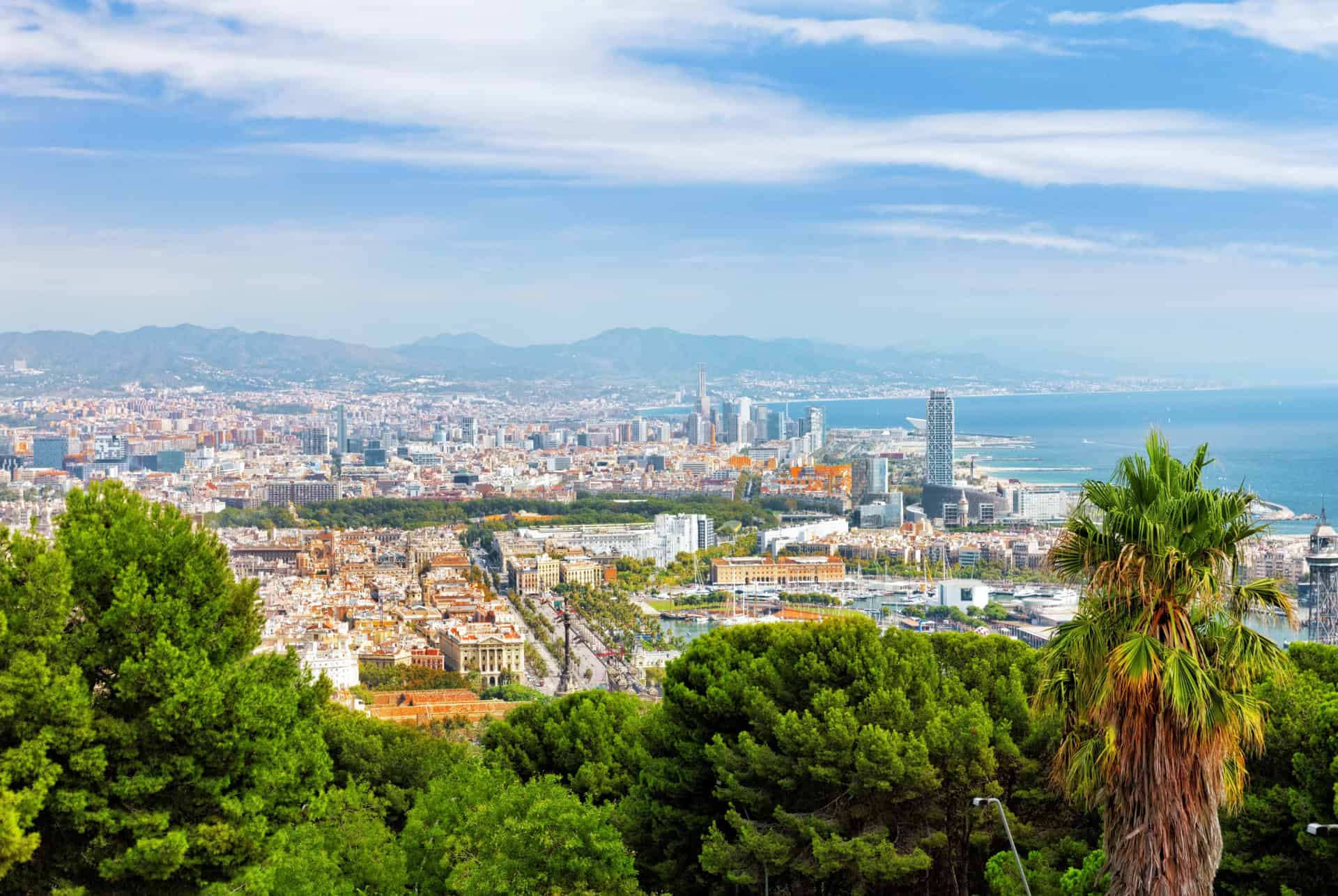 vue panoramique depuis montjuic vue panoramique depuis montjuic