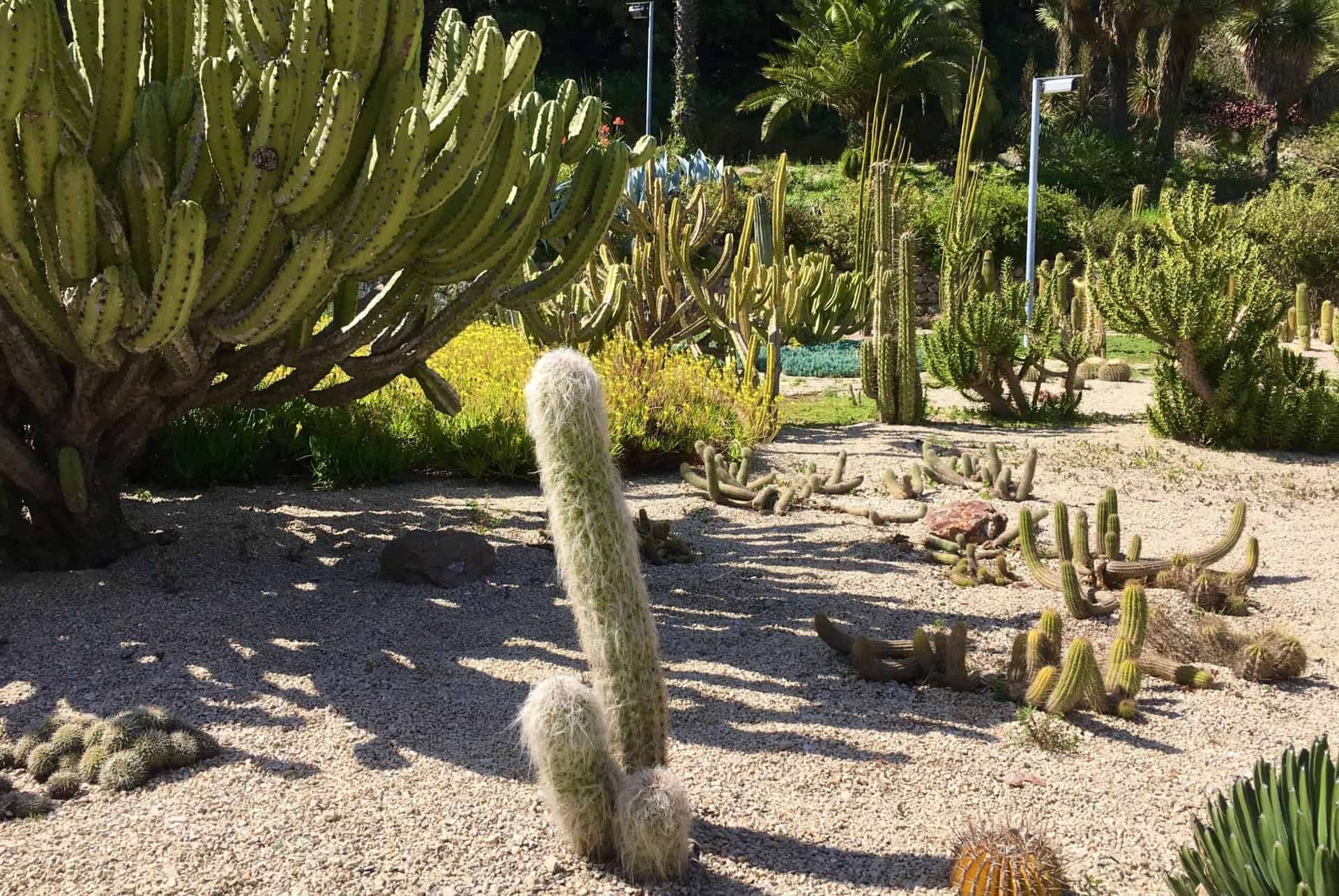 jardin botanique montjuic barcelone 5 jours