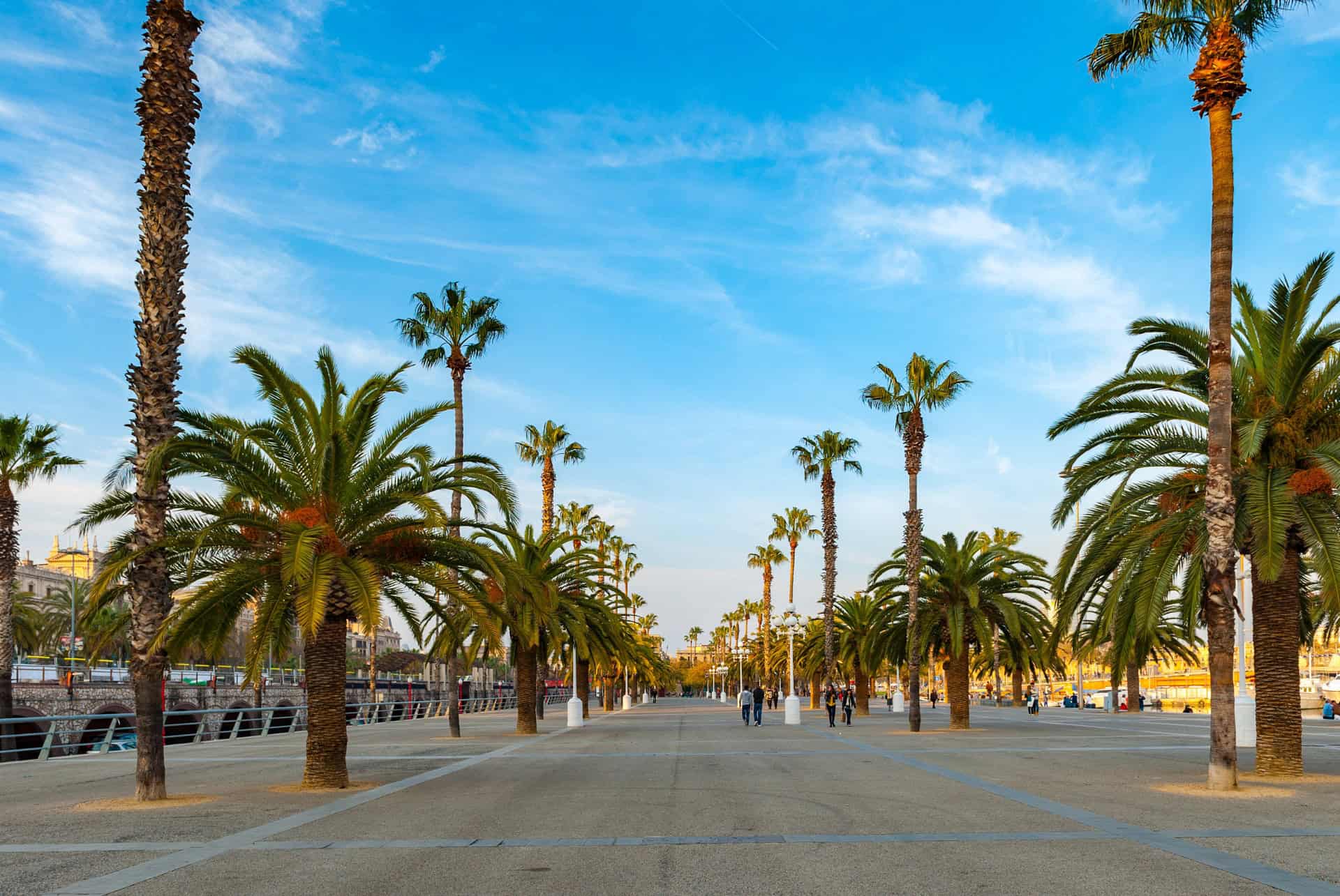 balade front de mer barcelone en fevrier