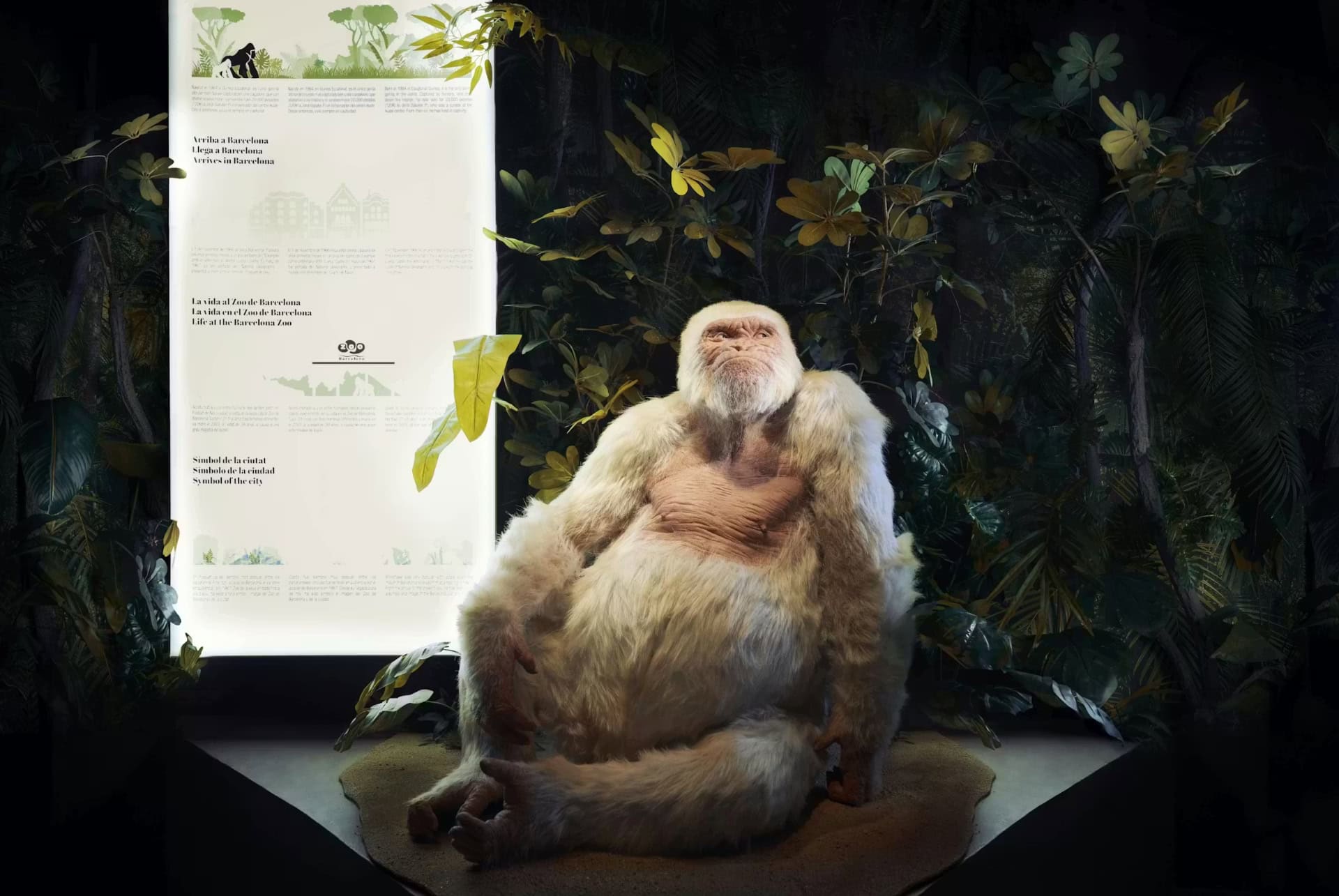 musee de cire singe