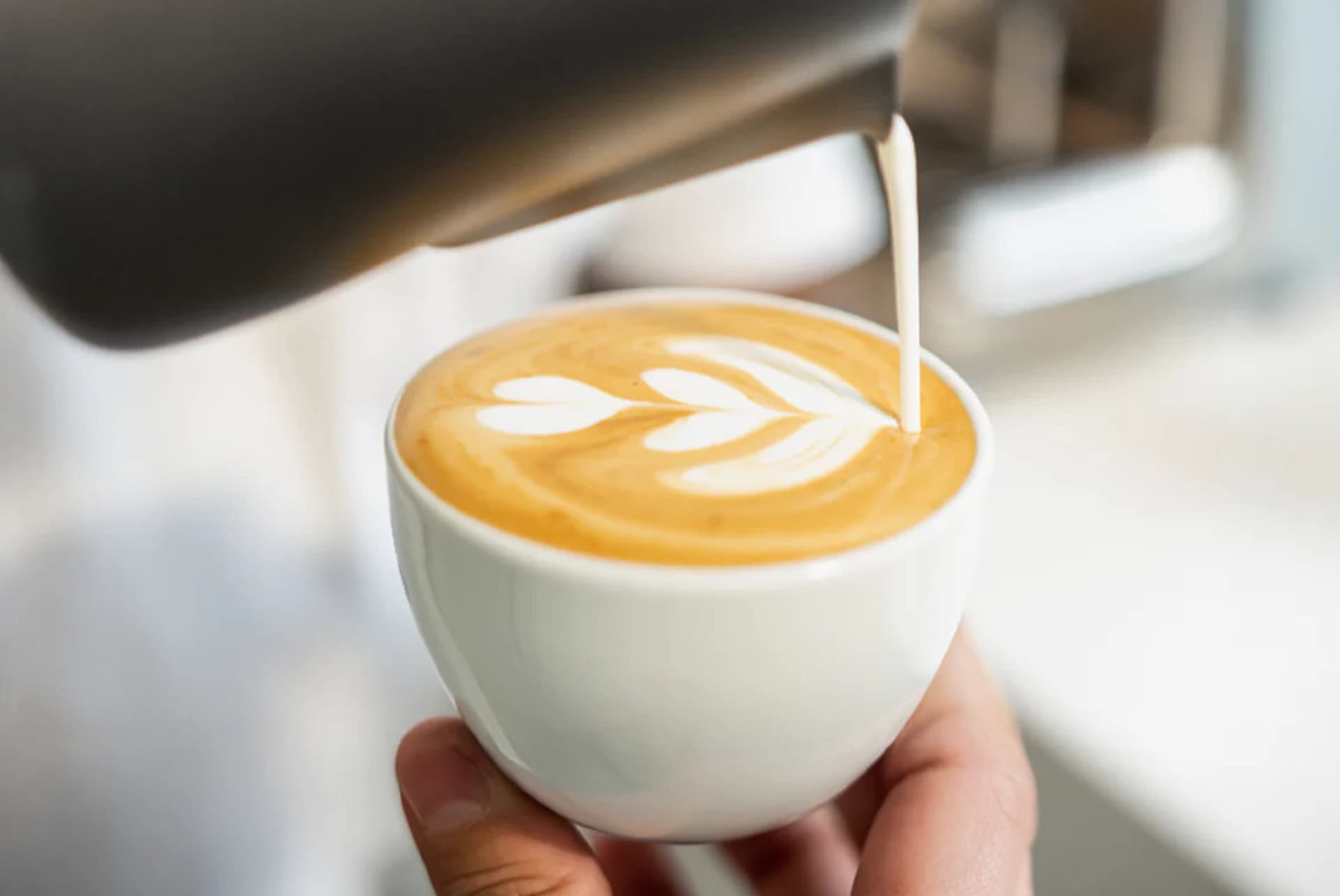 d origen coffee d origen coffee