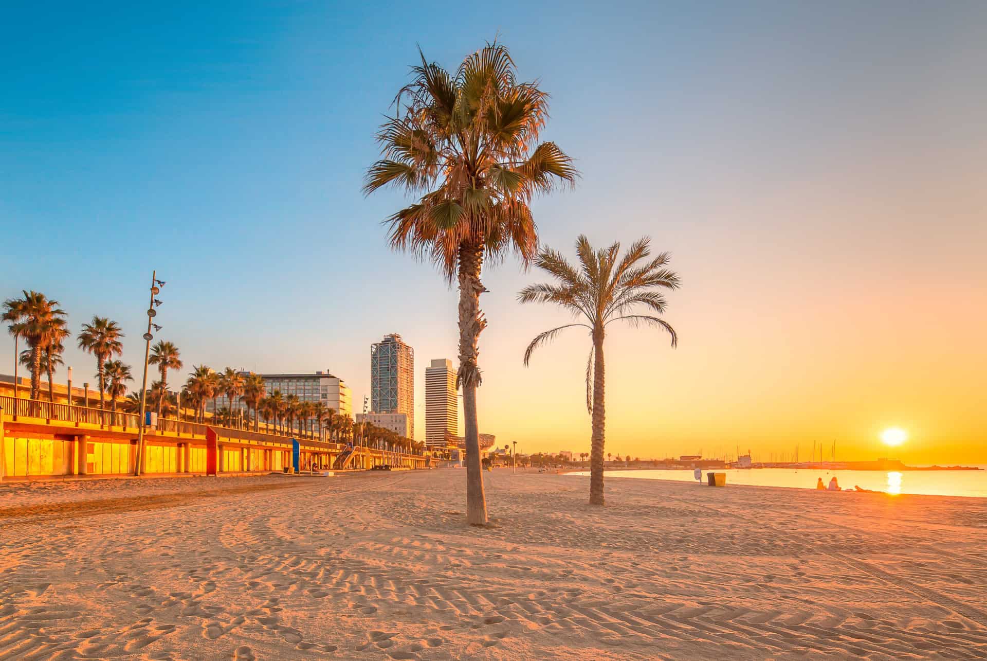 barceloneta barceloneta
