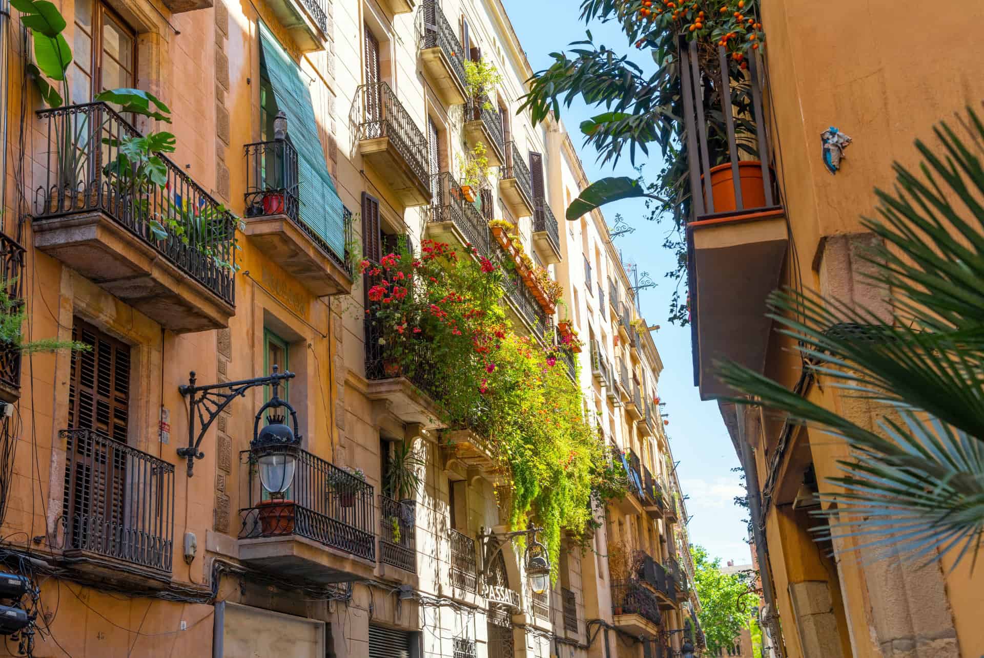 quartier ribera quartier ribera